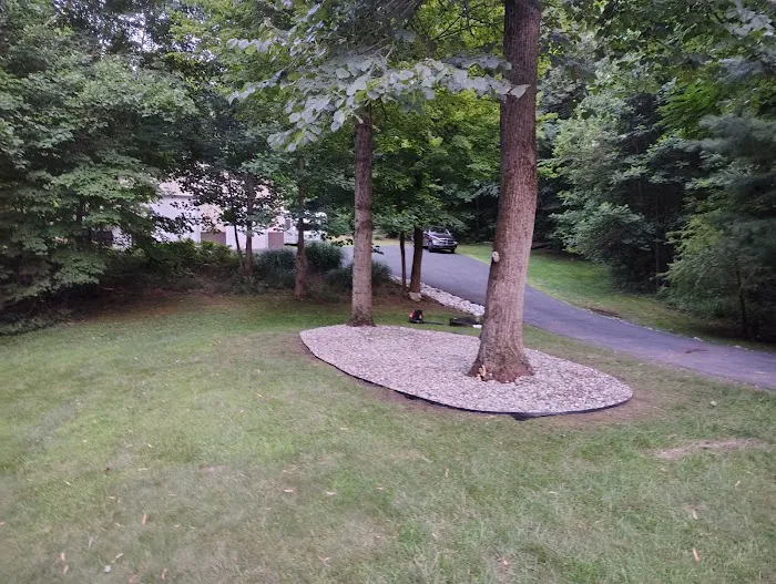 Nelson landscaping and lawn Care Picture 5