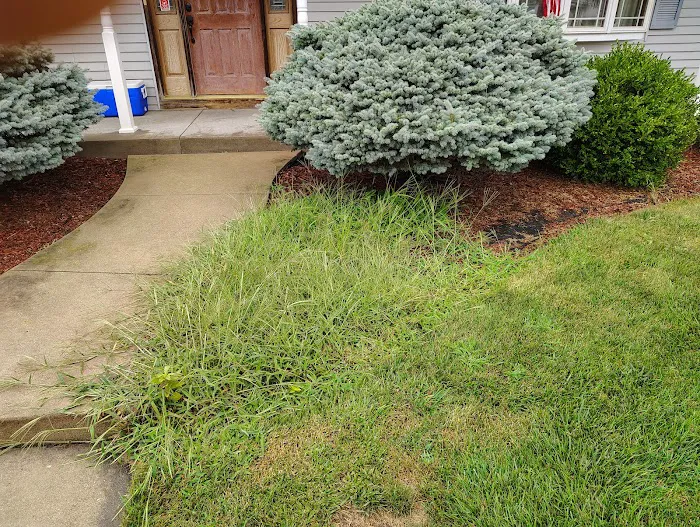 Nelson landscaping and lawn Care Picture 9