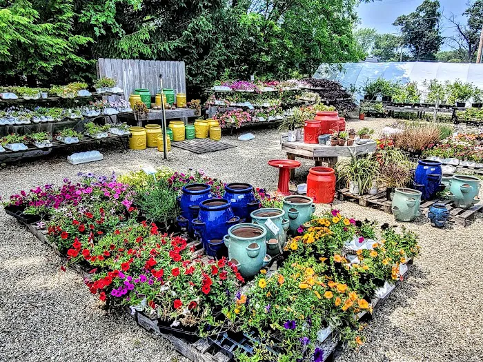 Beachside Gardens & Gifts Picture 1