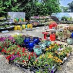 Beachside Gardens & Gifts