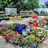 Beachside Gardens & Gifts ico