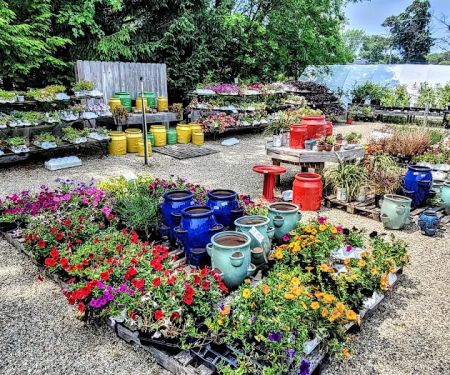 Beachside Gardens & Gifts