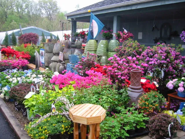 Beachside Gardens & Gifts Picture 7