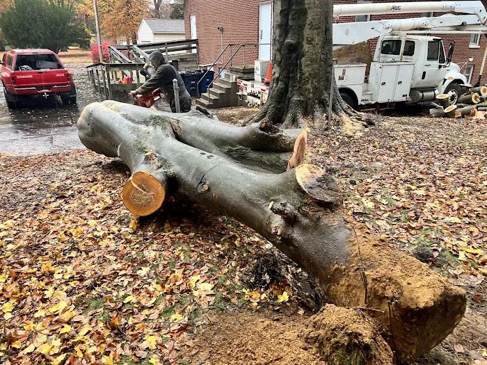 P&J Lawn and Tree Maintenance Picture 5