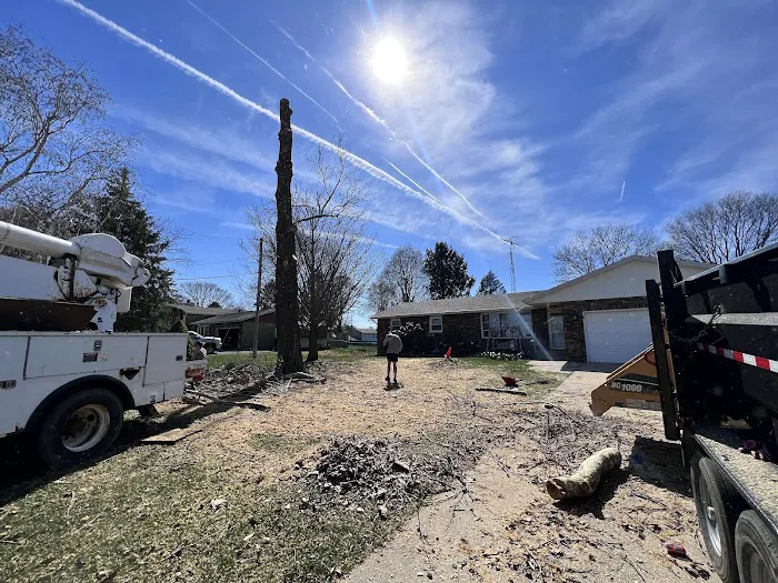 P&J Lawn and Tree Maintenance Picture 4