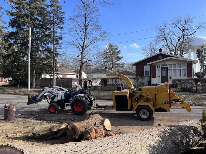 P&J Lawn and Tree Maintenance Picture 9