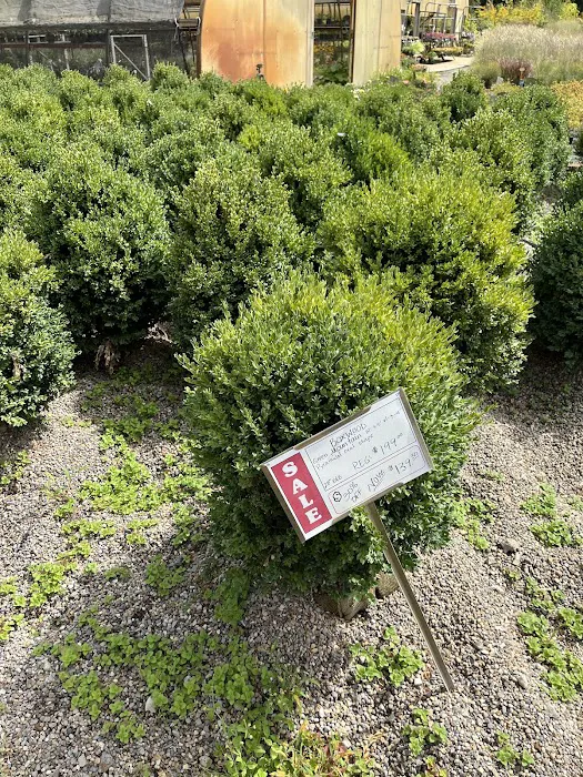 Smalls Garden Center Picture 7
