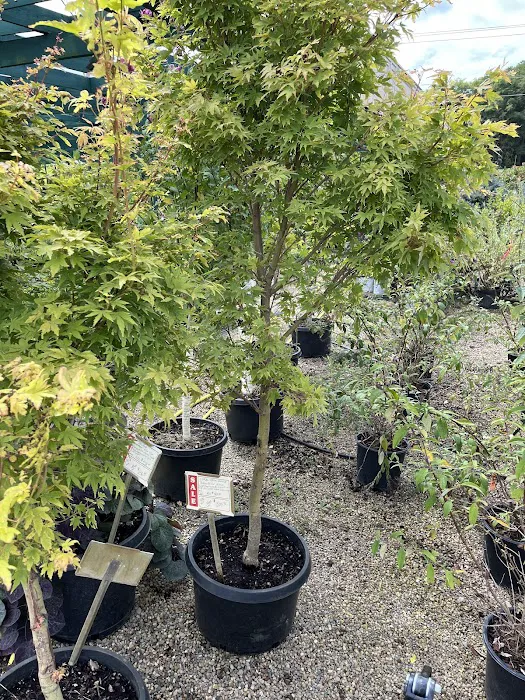 Smalls Garden Center Picture 4