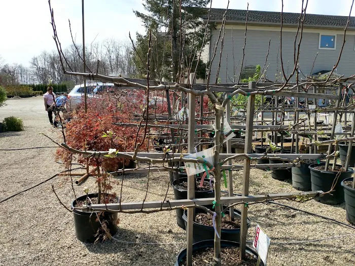 Smalls Garden Center Picture 9