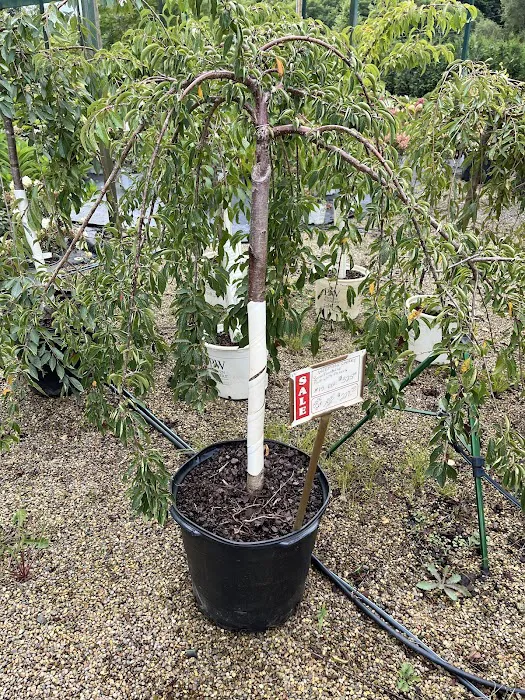 Smalls Garden Center Picture 10