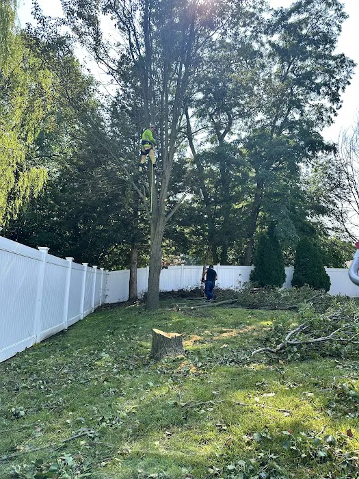 Bluegrass Landscaping LLC Picture 5