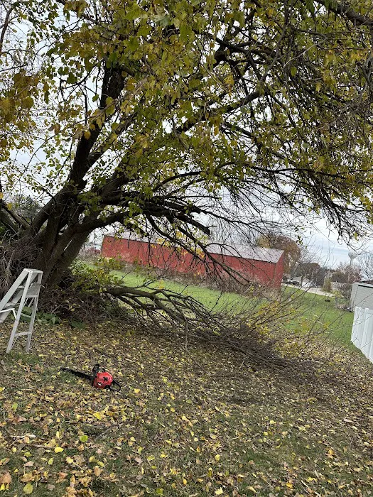 IV landcare LLC Picture 2