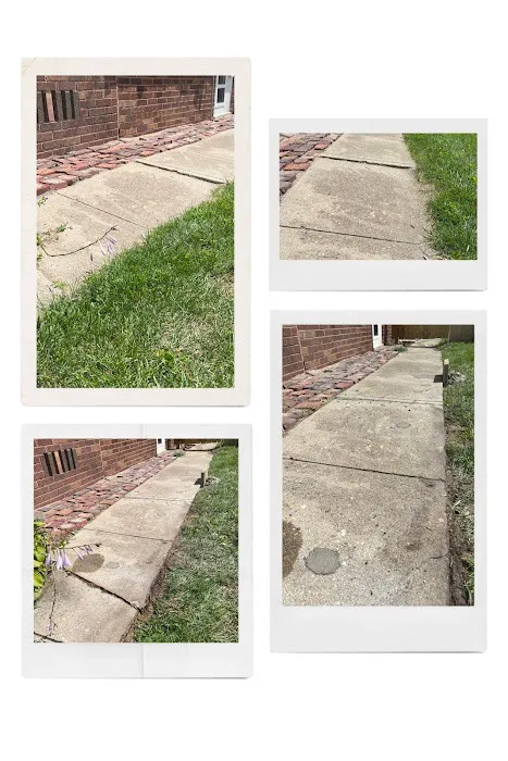 A & B Concrete Lifting & Landscape, Inc Picture 3
