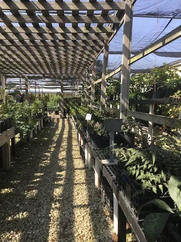 Danchris Nursery Picture 1