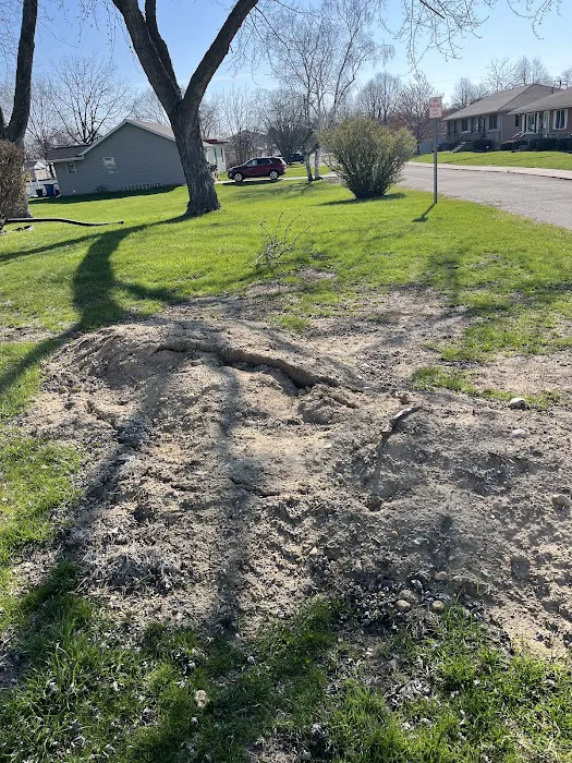 KN LAWN CARE Picture 7