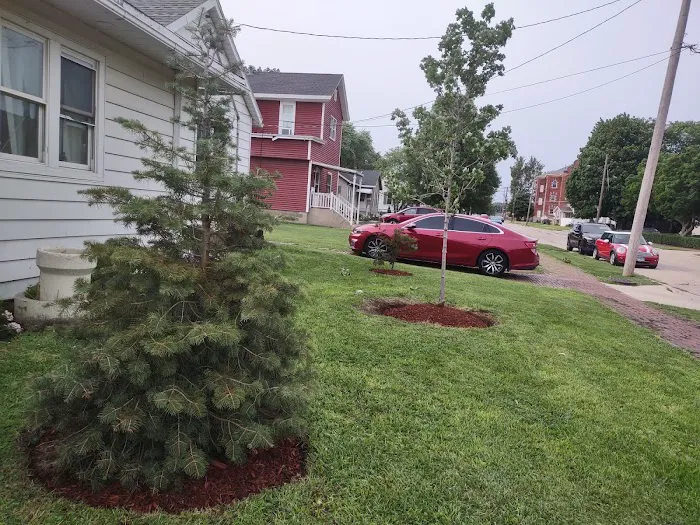 Eri M. Lawn services & Landscaping Picture 6