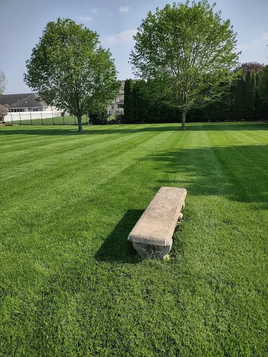 Eri M. Lawn services & Landscaping Picture 2