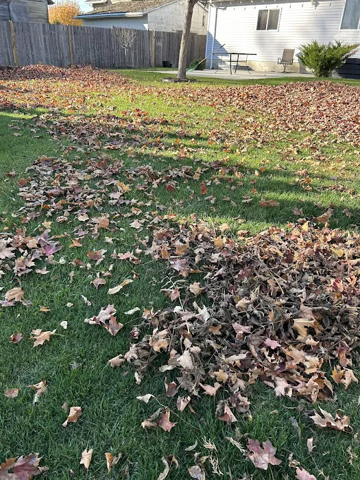 Eri M. Lawn services & Landscaping Picture 8
