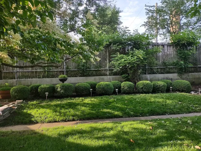 Eri M. Lawn services & Landscaping Picture 9