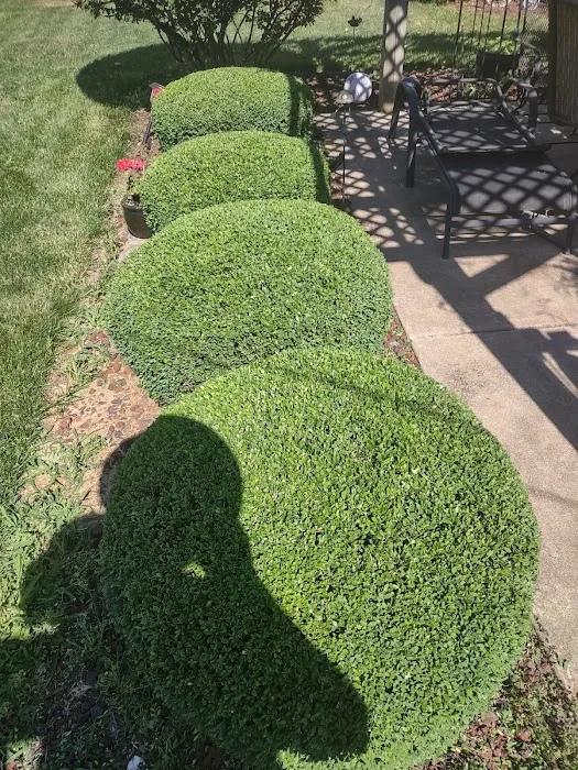 Eri M. Lawn services & Landscaping Picture 4