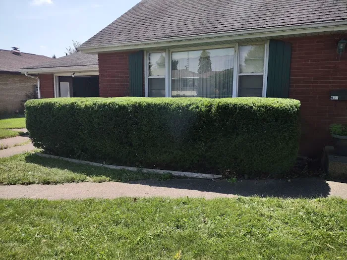 Eri M. Lawn services & Landscaping Picture 3
