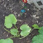 Executive Lawn Services