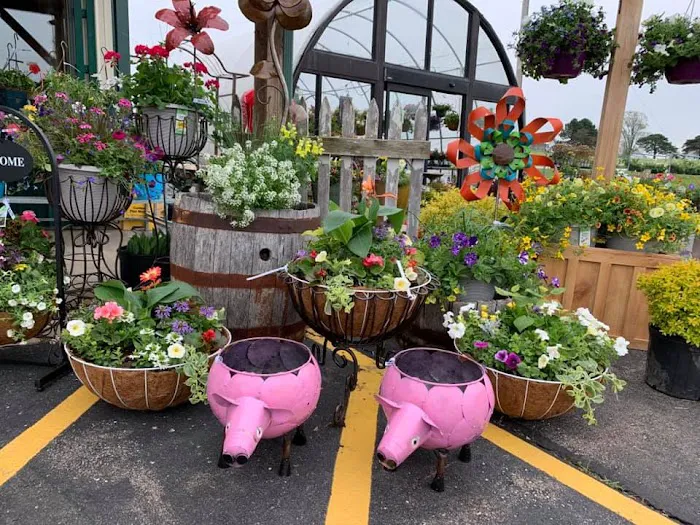 S & H Nursery Picture 9