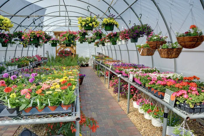S & H Nursery Picture 4