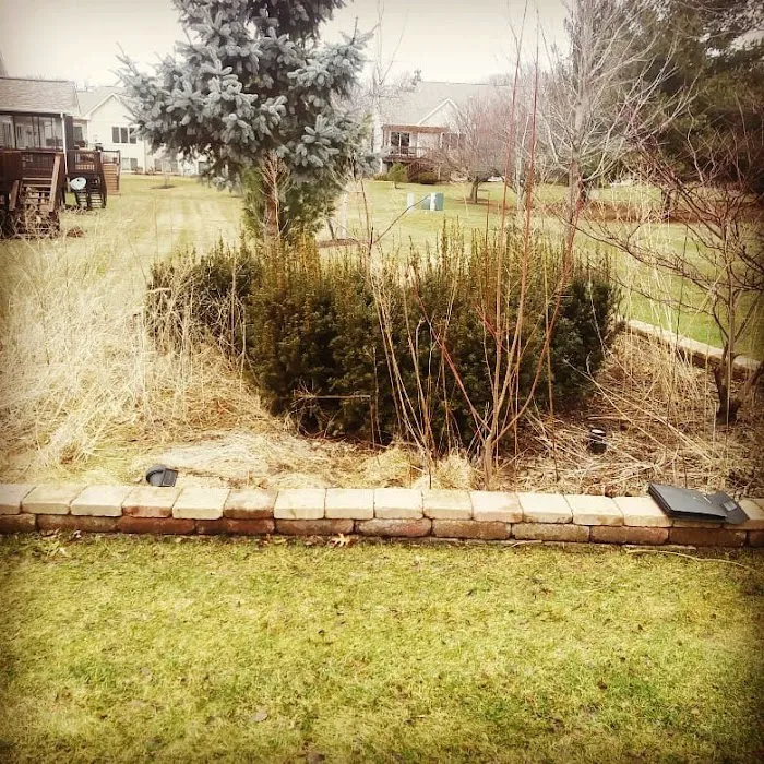 Ruiz Landscaping rockford Picture 5