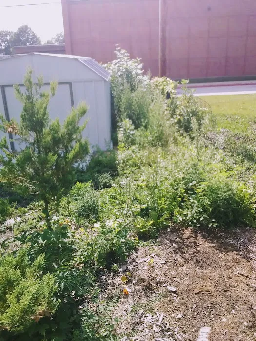 Ruiz Landscaping rockford Picture 1