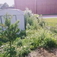 Ruiz Landscaping rockford ico