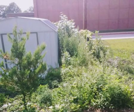 Ruiz Landscaping rockford