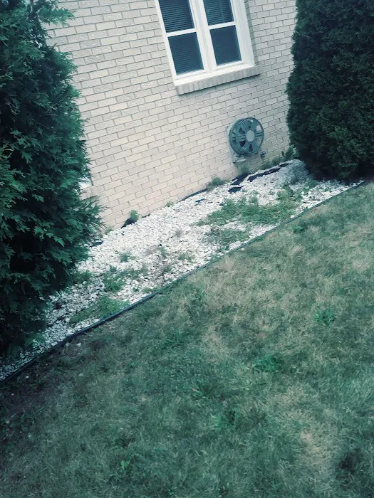 Ruiz Landscaping rockford Picture 3