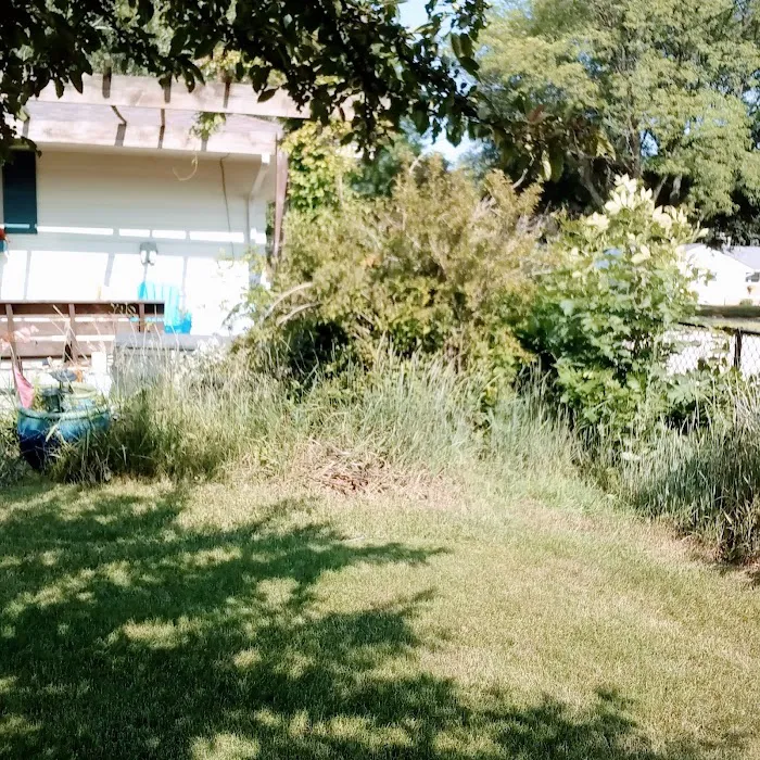 Ruiz Landscaping rockford Picture 6