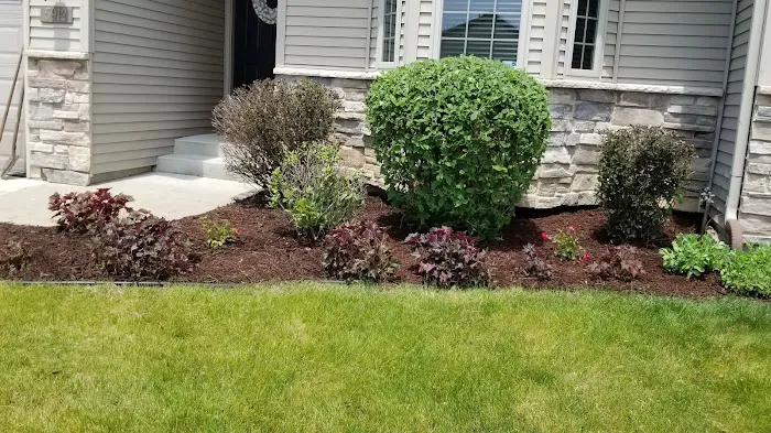 Natural landscaping Picture 1