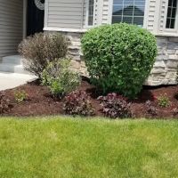 Natural landscaping ico