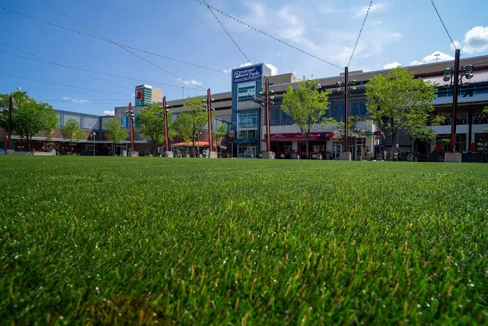 ForeverLawn Chicago Picture 6