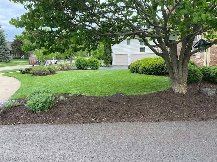 Elites Lawncare and Snow Removal Picture 8