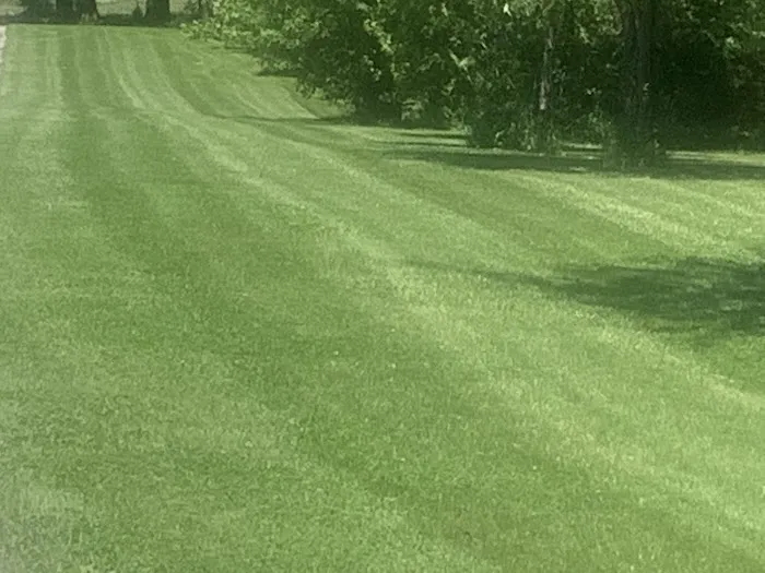 A & A LawnCare Picture 5