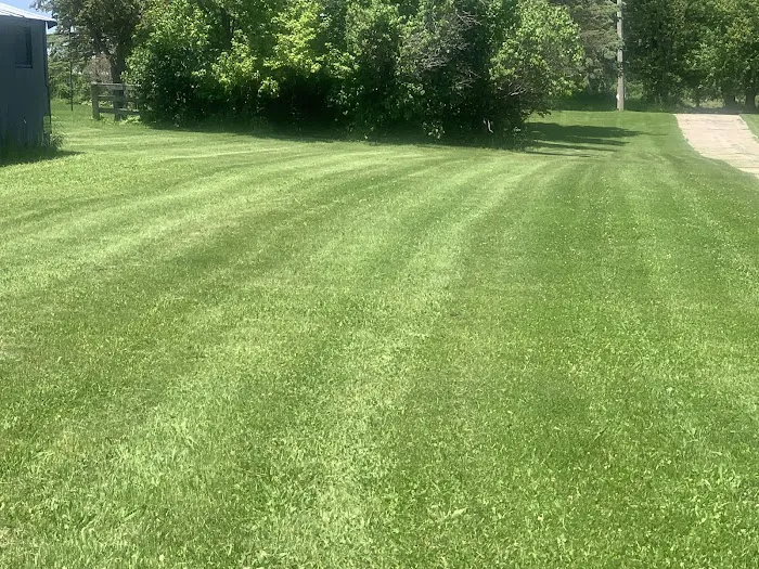 A & A LawnCare Picture 1