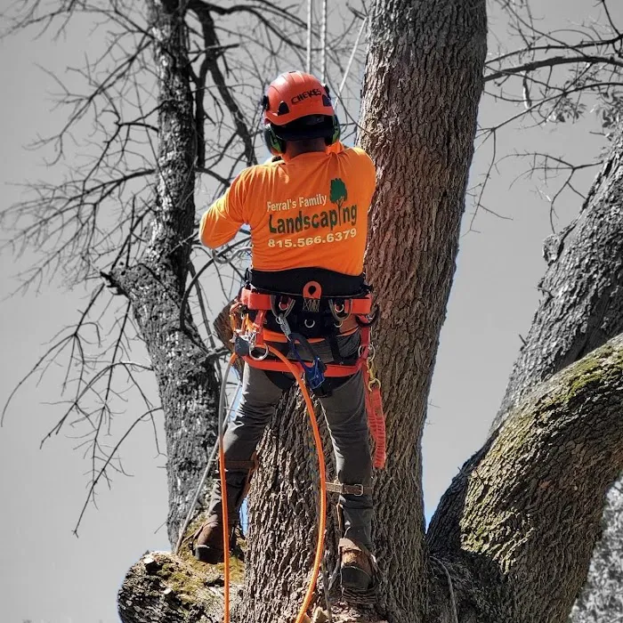 Ferrals Family Landscaping & Tree Services Picture 10