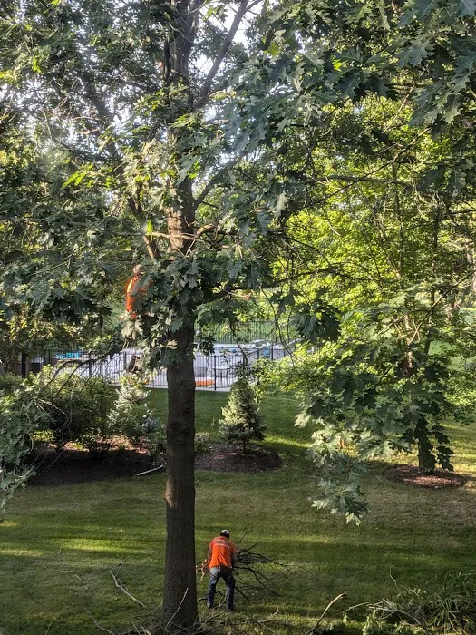Ferrals Family Landscaping & Tree Services Picture 9