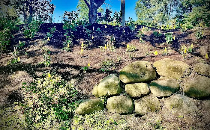 Ferrals Family Landscaping & Tree Services Picture 4