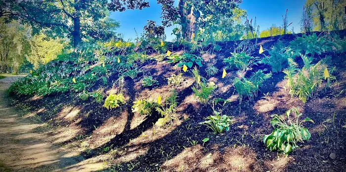 Ferrals Family Landscaping & Tree Services Picture 5
