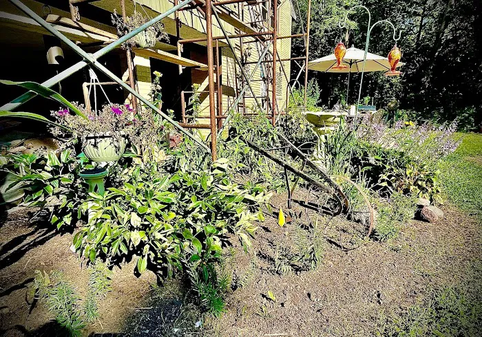 Ferrals Family Landscaping & Tree Services Picture 8
