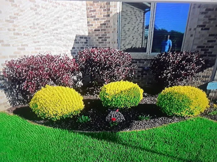 Changing Seasons Landscaping Picture 6