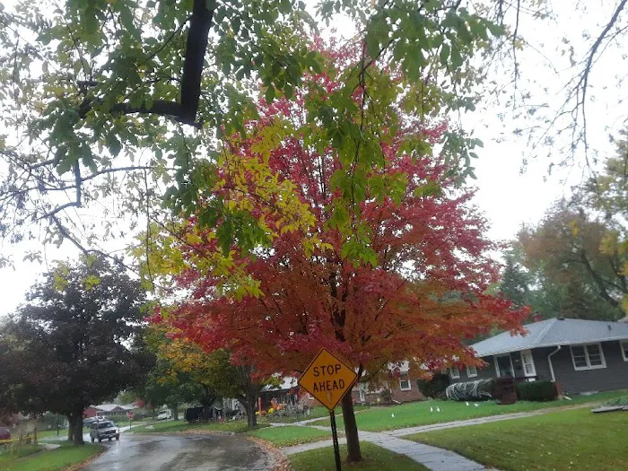 Changing Seasons Landscaping Picture 2