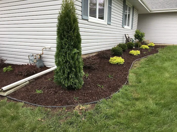 Beltran Landscaping Picture 9