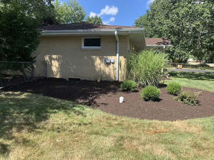 Light Green Lawn Maintenance Picture 1