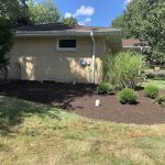 Light Green Lawn Maintenance